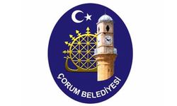 Belediye su bazlı üre çözeltisi satın alıyor