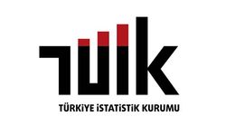 Ekonomik güven endeksi 97,6 oldu