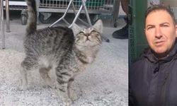 Boğulma tehlikesi geçiren kedi yavrusunu esnaf kurtardı