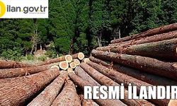 İskilip Orman İşletme Müdürlüğü Muhtelif Şeflikleri 2023 yılı mesaha danışmanlık hizmet alım işi
