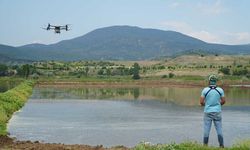 Çiftçiler çeltik tarlalarına "Drone" ile ekim yapıyor