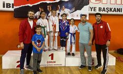 Mehmet Akif Ersoy İllerarası Tekvando Turnuvası Çorum’da yapıldı