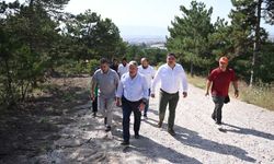 Bahabey Çamlığı 10 Ağustos’ta açılıyor