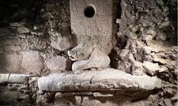 Göbeklitepe'de yaban domuzu heykeli bulundu