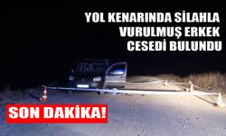 Yol kenarında silahla vurulmuş erkek cesedi