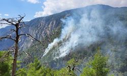 Karanlıkdere Kanyonu'nda orman yangını çıktı