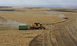 Ziraat mühendisleri "iklim değişikline  dayalı tarım takvimi" talep etti