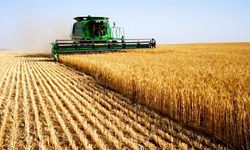 Tarım-ÜFE yıllık  yüzde 71,96 arttı