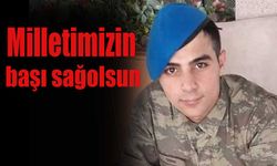 Milletimizin başı sağolsun