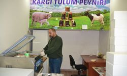 Kargı tulum peyniri dünyaya yayılacak