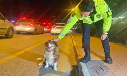 Polisin iç ısıtan “köpek nöbeti”