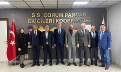 Çıplak: “Herkese eşit  hizmet götüreceğiz”