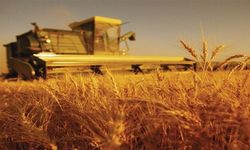 Tarım-GFE yıllık  yüzde 49,92 arttı
