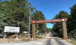 Çatak Tabiat Parkı’nın misafirlerini bekliyor