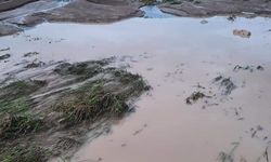 Sungurlu'da tarım  arazilerini dolu vurdu