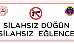 “Silahsız düğün, silahsız eğlence”