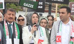 Demir: “Anneler bitmeden  Gazze direnişi de bitmez”