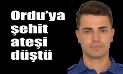 Ordu’ya şehit ateşi düştü