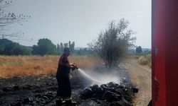 Osmancık'taki örtü yangınında  ağaçlar zarar gördü