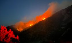 Kargı’daki orman yangınında  30 hektar alan zarar gördü