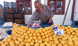 Pazarda bile kilosu 70 liraya dayanan limon