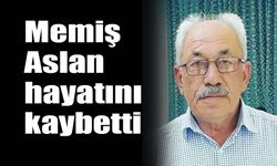 Memiş Aslan hayatını kaybetti