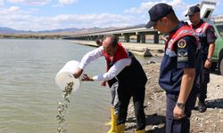 Çorum'da baraj ve sulama göletlerine 1 milyon 215 bin yavru balık salındı