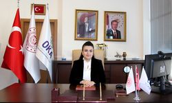 Mehlika Dicle, asaleten atandı