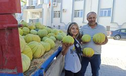 Çorum'un ünlü kavunu Türkiye’ye gönderiliyor