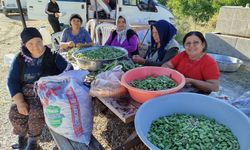 En güzel fasulyeler yarıştı