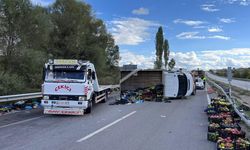 Kamyonet devrildi, elmalar yola saçıldı