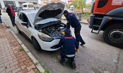 Araç motoruna giren kedileri kurtarmak için seferber oldular