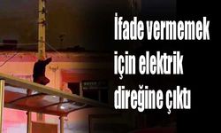 İfade vermemek için elektrik direğine çıktı