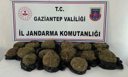 Otobüs bağajından 18.5 kilo skunk çıktı