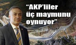 Tahtasız: “AKP’liler  üç maymunu oynuyor”