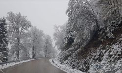 Bolu-Yedigöller yolu kar  risk nedeniyle kapatıldı