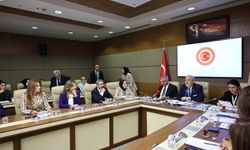 Ahlatcı, TBMM Kadına Şiddet Komisyonuna seçildi