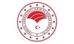 Taklit-tağşiş gıdalar  Listesi yenilendi