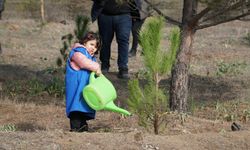 Çorum'un ilçelerinde fidanlar toprakla buluşturuldu