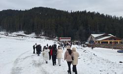 Üniversite öğrencileri Ilgaz Dağı'nda karın tadını çıkardı