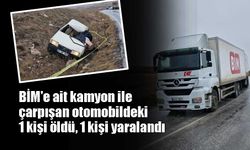 BİM'e ait kamyon ile çarpışan otomobildeki 1 kişi öldü, 1 kişi yaralandı