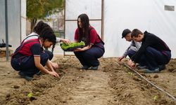 Çorum'daki bu okulda genç çiftçiler yetişiyor