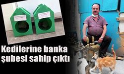 Kedilerine banka  şubesi sahip çıktı