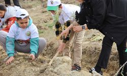 Çorum'da yüzlerce ıhlamur ve lavanta fidanı toprakla buluştu