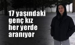 17 yaşındaki genç kız her yerde aranıyor