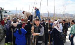 Halka ücretsiz meyve fidanı dağıttılar