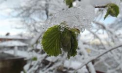 Meteoroloji Çorum için saat verdi! Bugüne dikkat