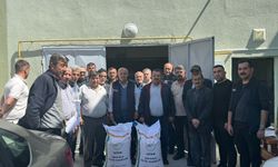 Kargı'da çeltik üreticilerine yüzde  50 hibe destekli yerli tohum dağıtıldı
