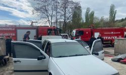 Park halineki araçta çıkan yangın büyümeden söndürüldü
