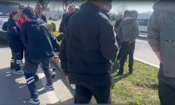 Orta refüje çıkan otomobil ağaçları devirdi: 1 yaralı